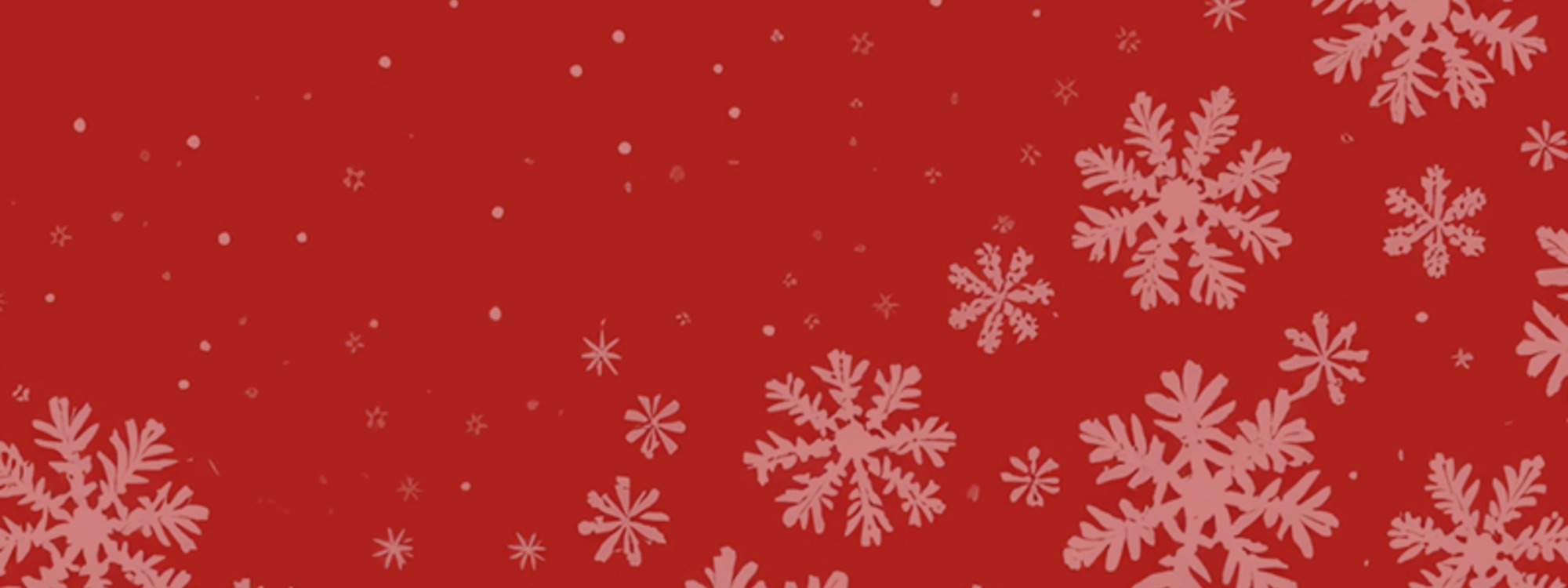 Christmas Eve
5pm Crib Service
11pm Midnight Service
Christmas Day 8am BCP
9.30am Christmas Day Service