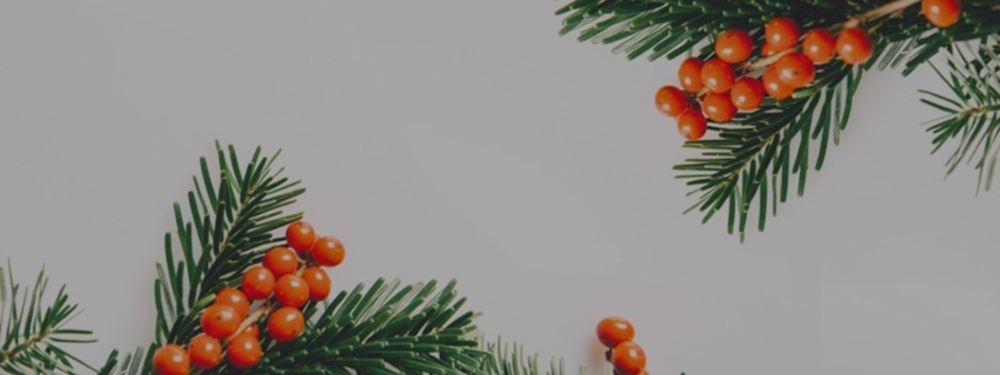 Family Carol Service
10.30am 14th December