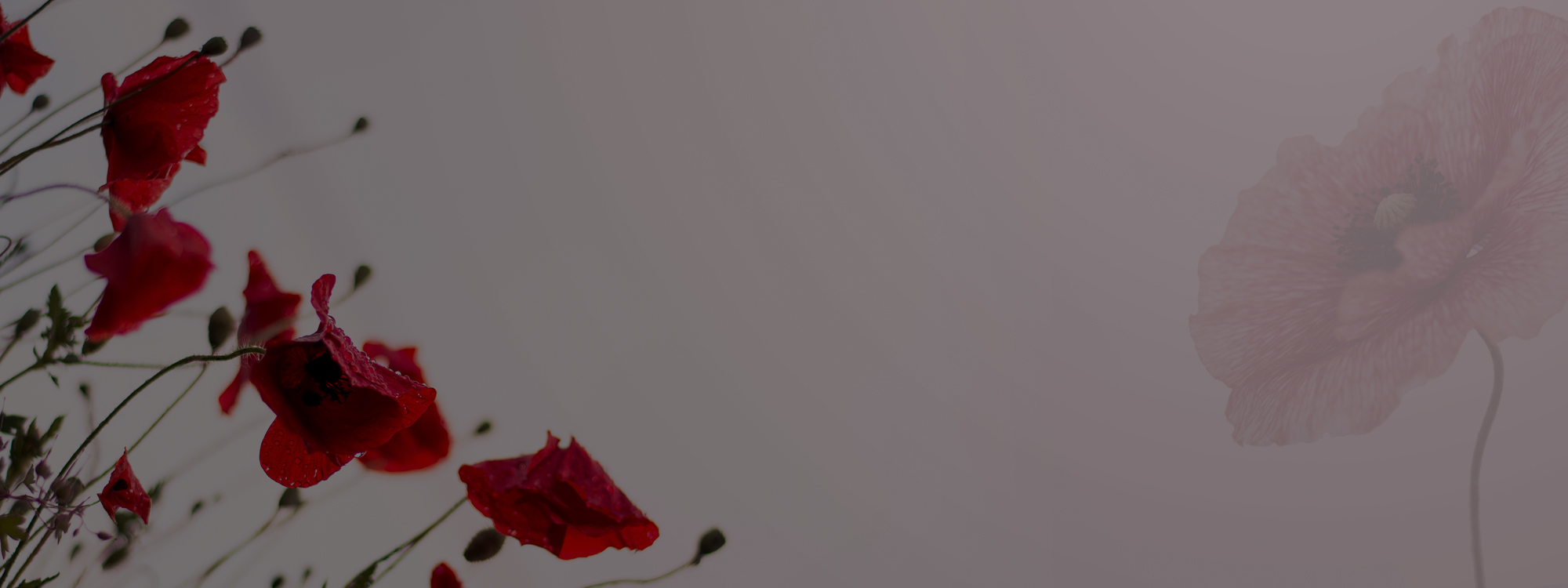 REMEMBRANCE SUNDAY

9th November 10.50am
