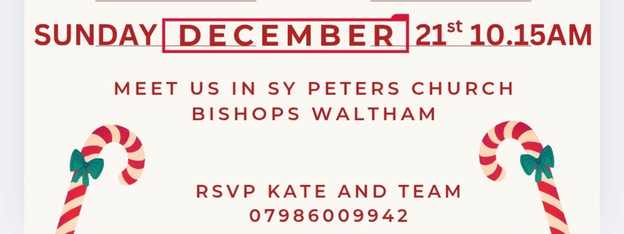 Vitalize Christmas Party