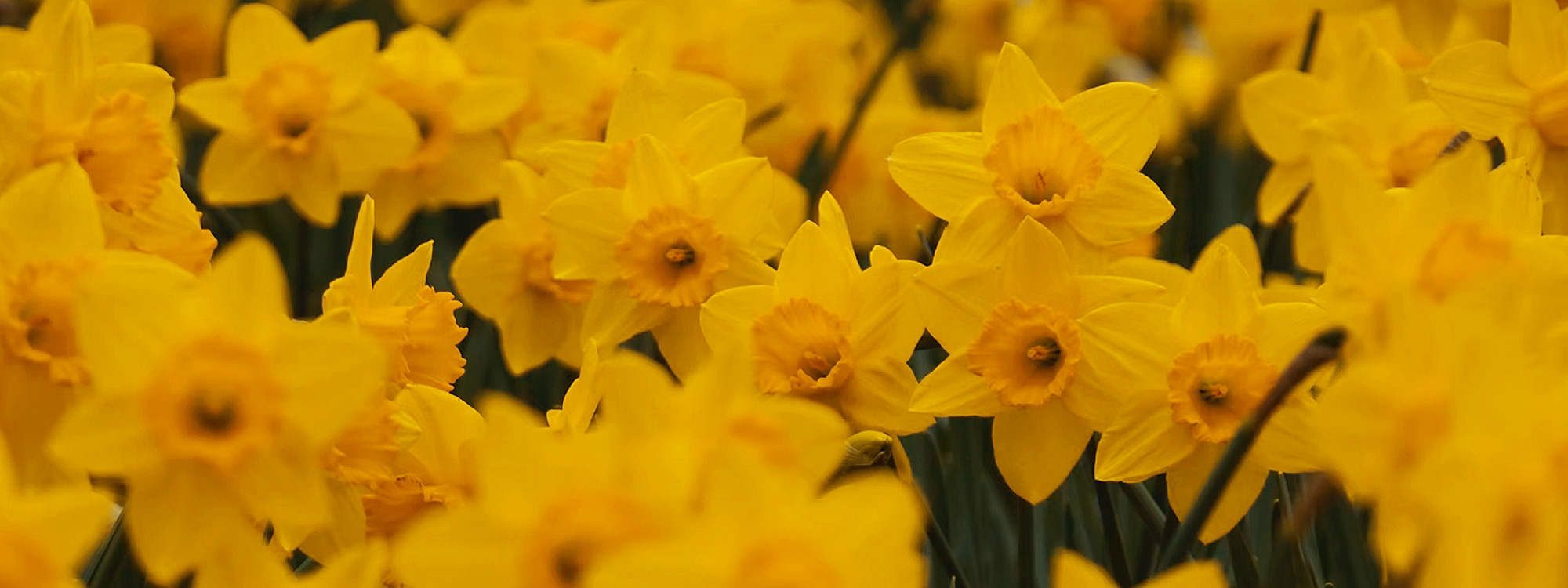 01. Easter